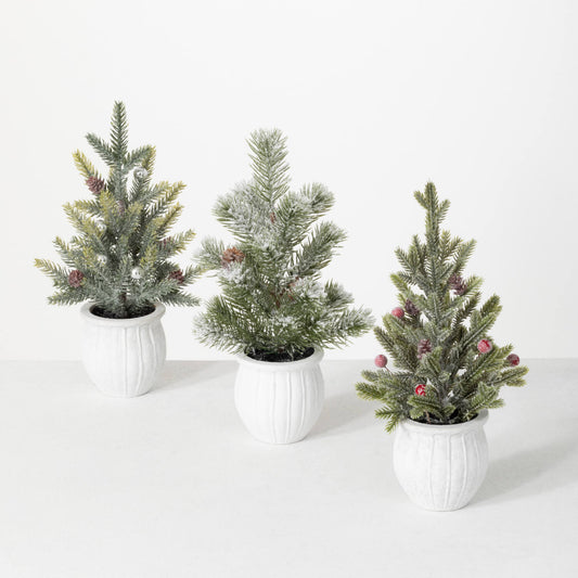 Potted Pine Trees (3 Styles)