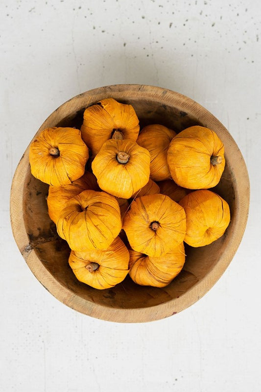 Bag of 15 Dried Miniature Faux Pumpkins - Orange